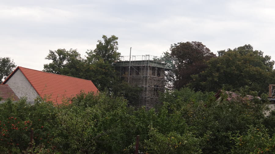 DSC00461